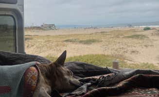 PJ M.'s photo of camping with pets at Dockweiler Beach RV Park near San Gabriel, CA