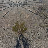 Review photo of Dog Canyon by Brenda Y., January 5, 2026