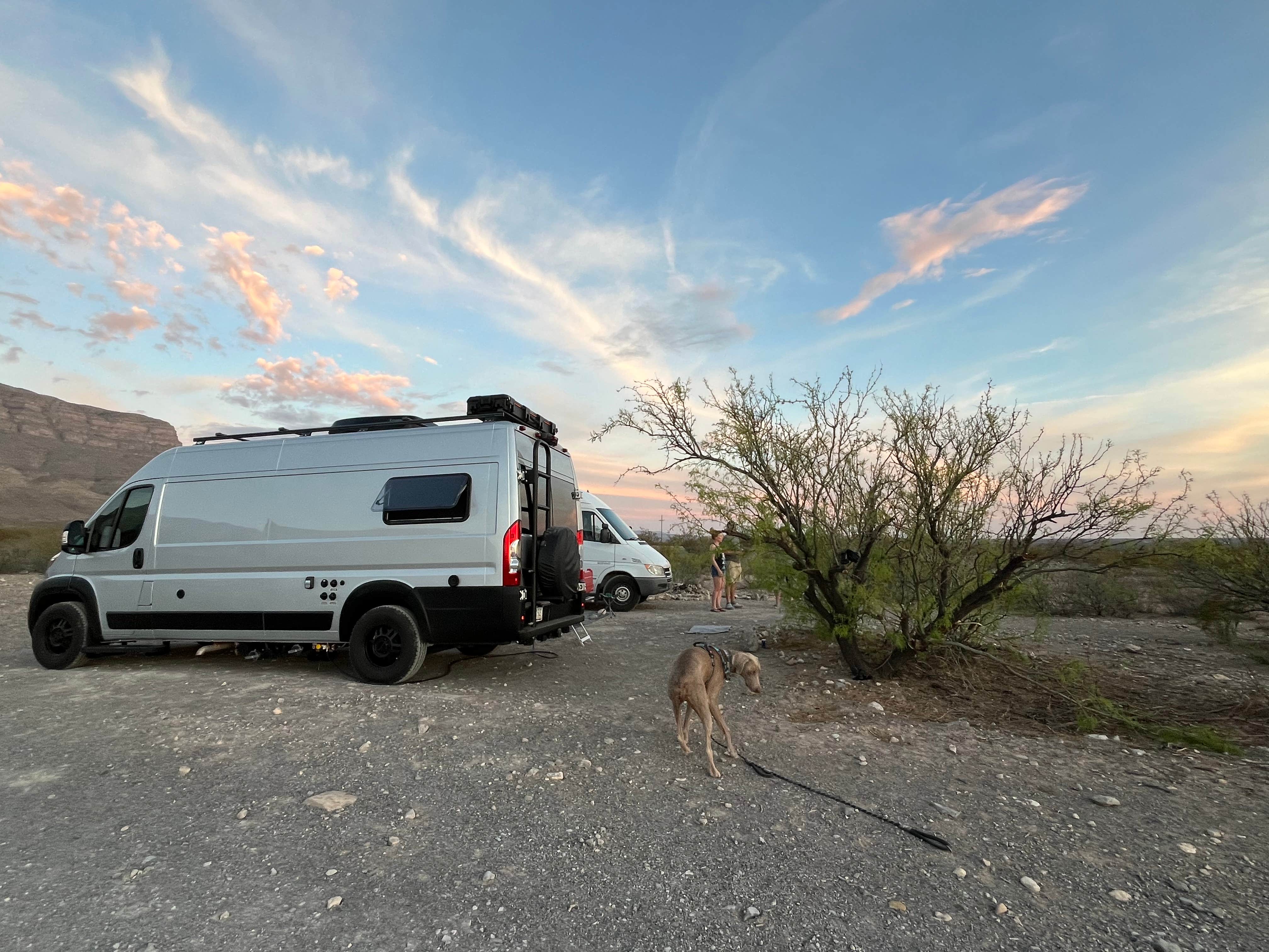 Camper submitted image from Dog Canyon - 5