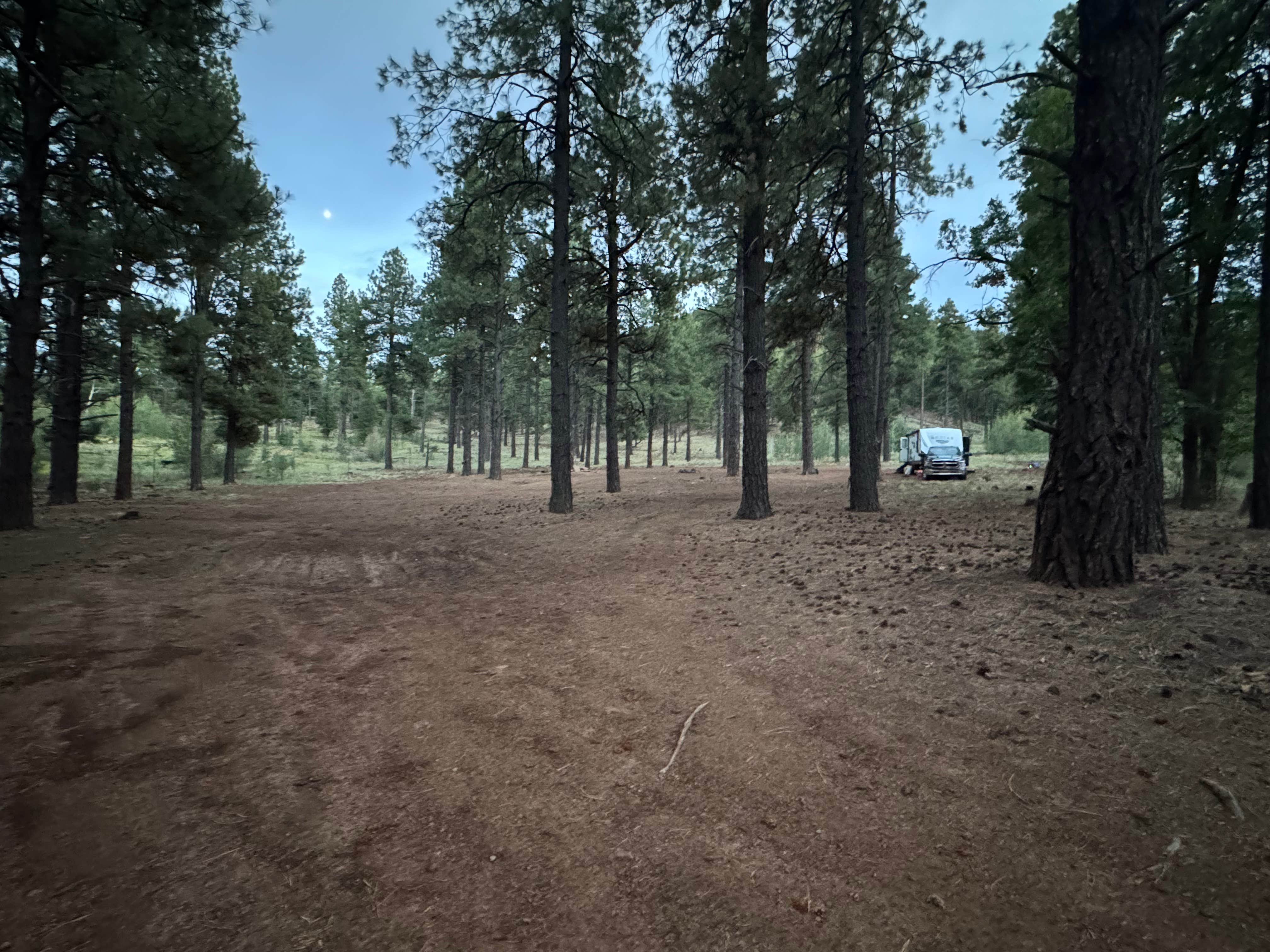 Camping near Dogtown Lake Campground And Group: Dogtown Y, Williams, Arizona