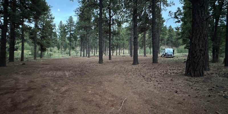 Camper submitted image from Dogtown Y