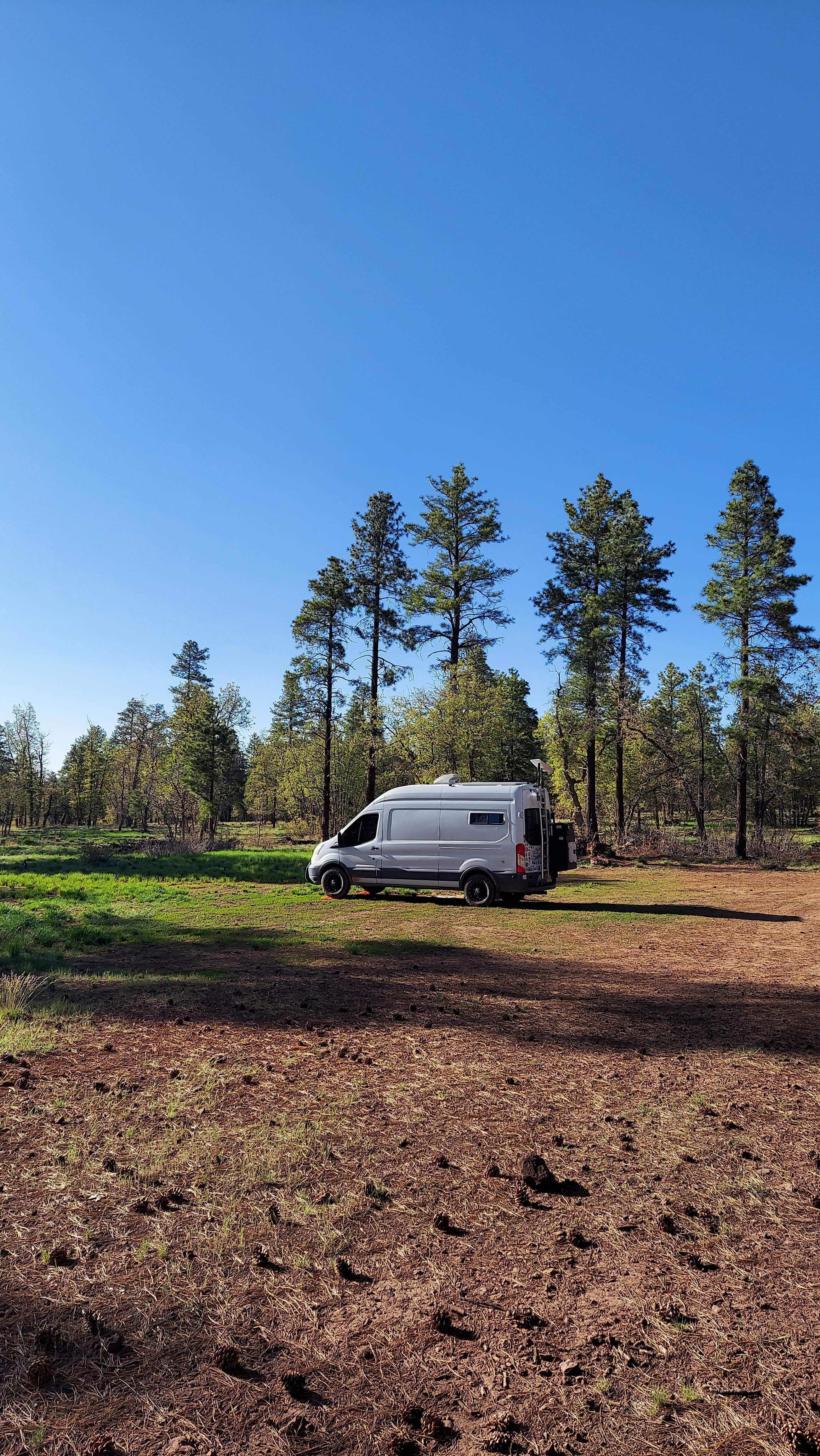 Camper-submitted photo at Dogtown Road Dispersed near Williams, AZ