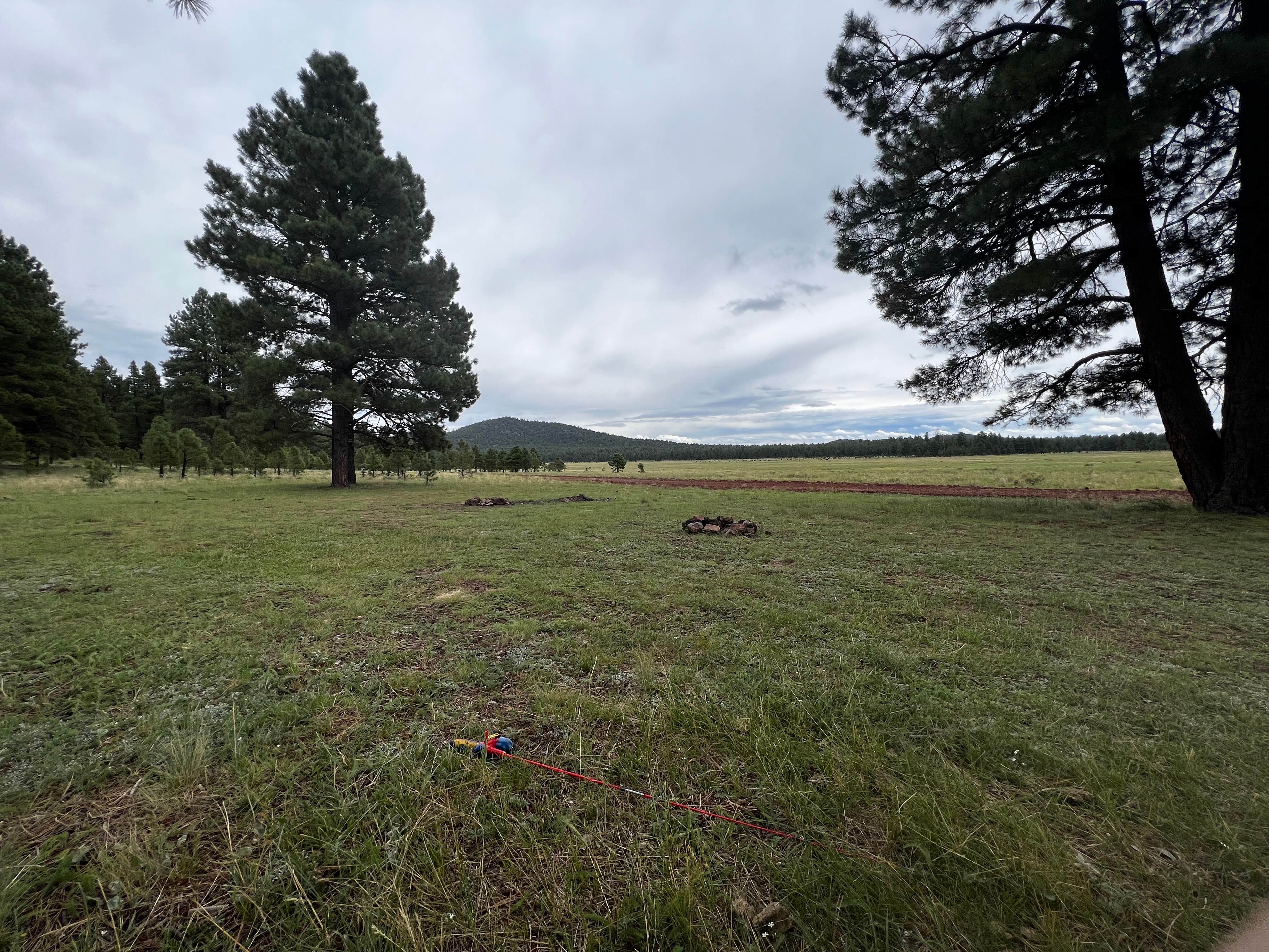 Camper-submitted photo at Dogtown Road Dispersed near Williams, AZ