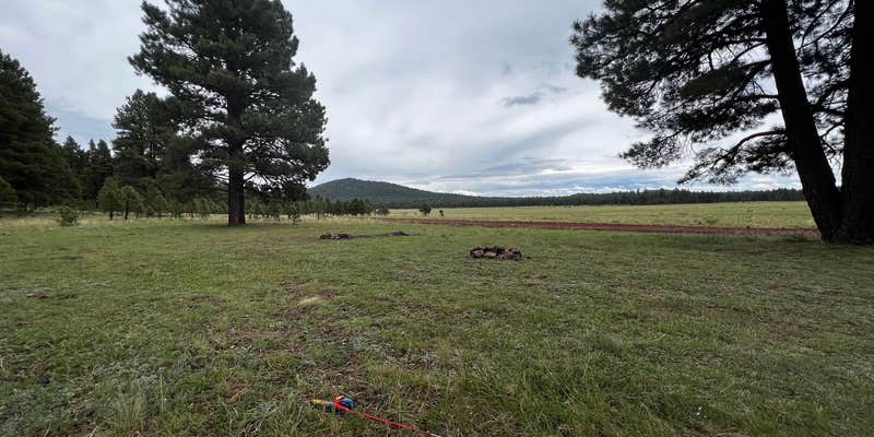 Camper submitted image from Dogtown Road Dispersed