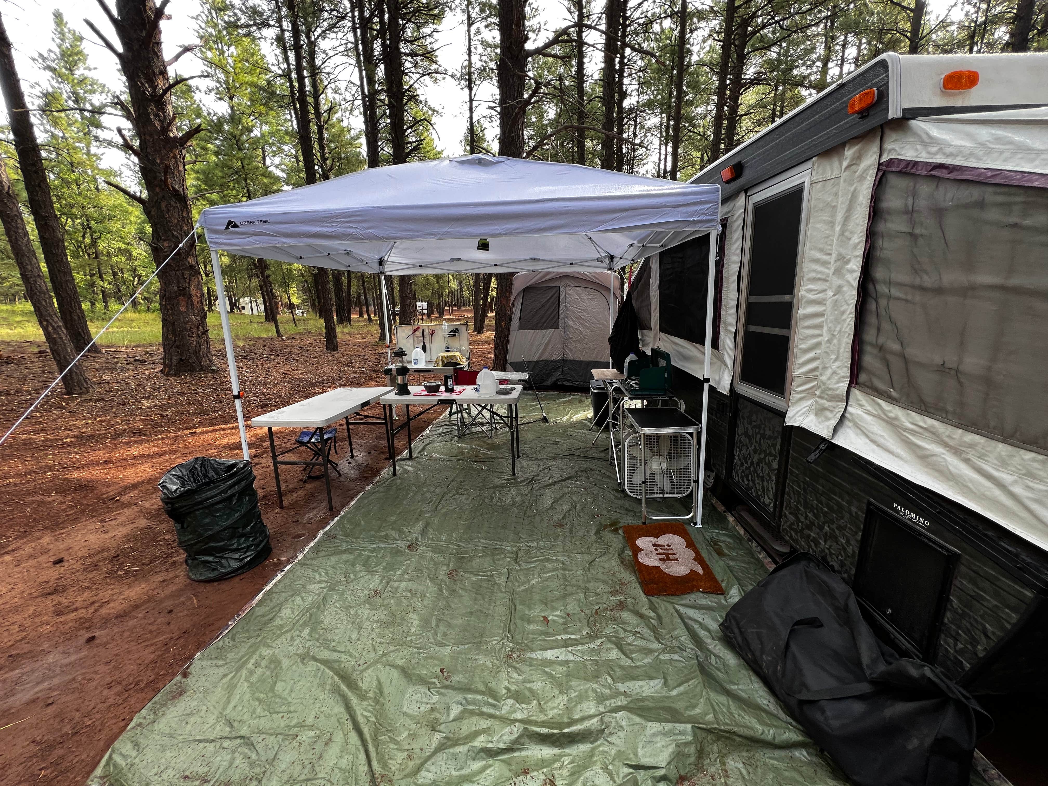 Camper submitted image from Dogtown Road Dispersed - 2