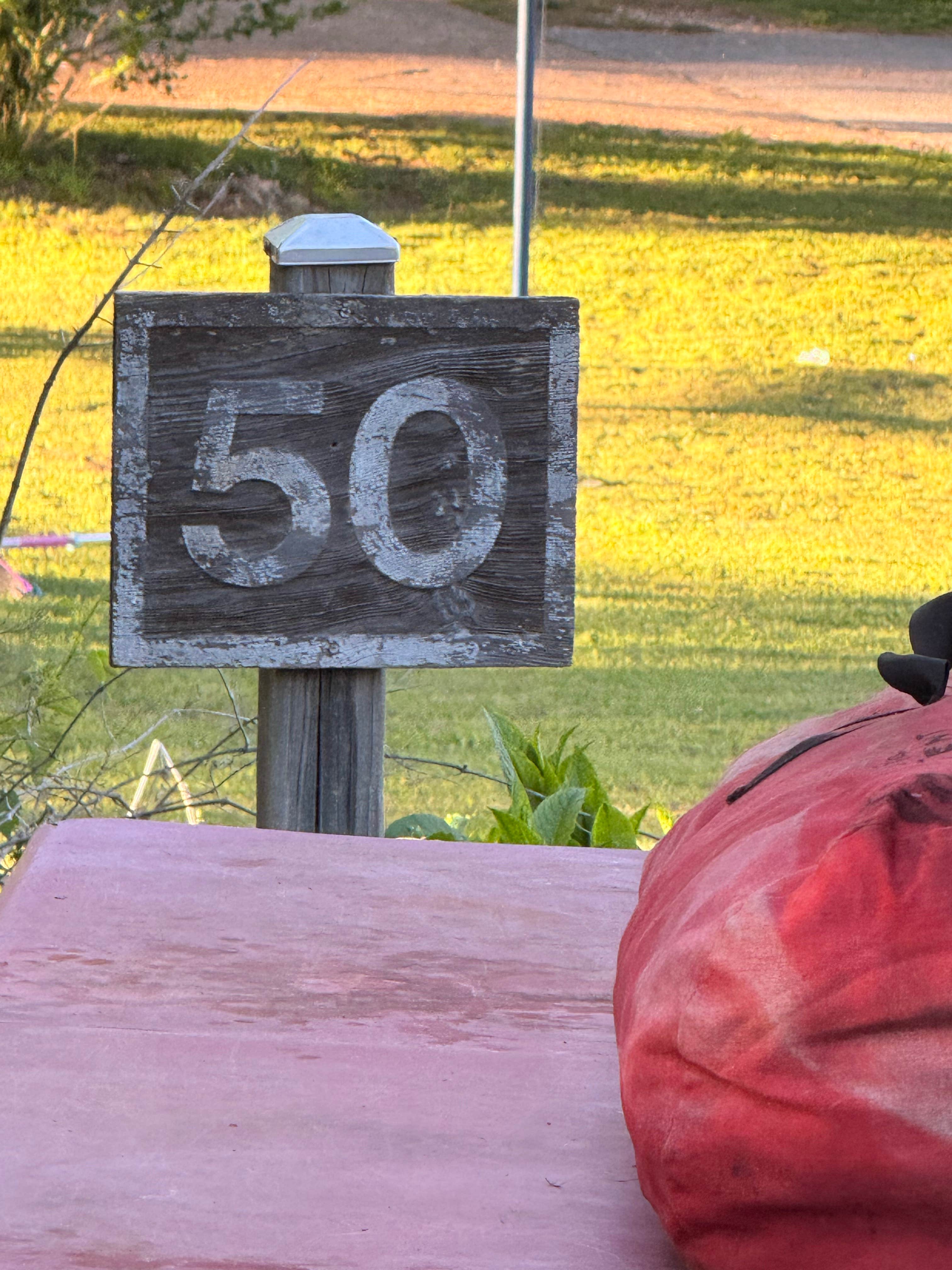 Camper-submitted photo at Dogwood Springs Campground near Cleveland, AR