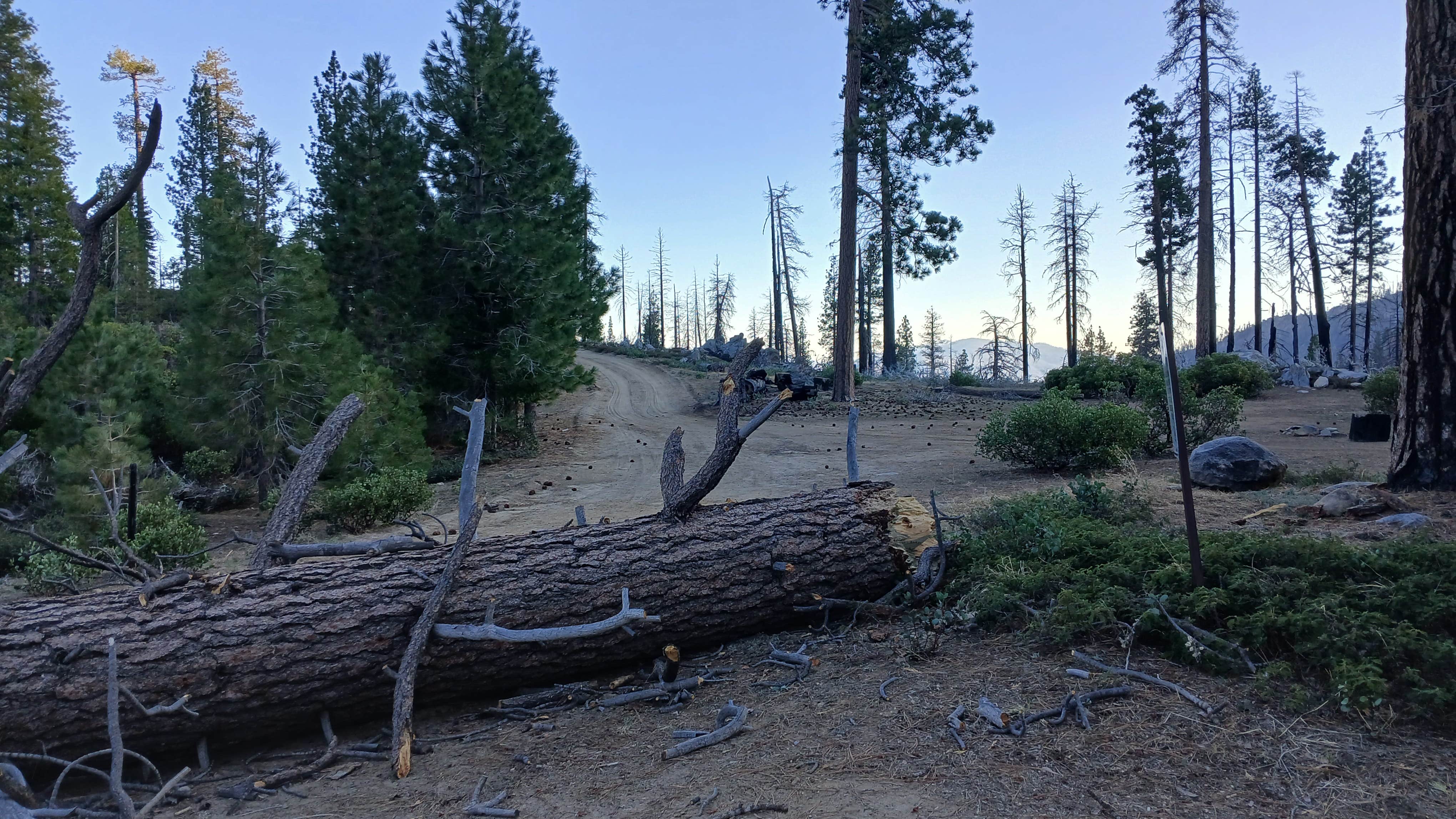 Camper-submitted photo at Dome Rock Dispersed Camping near Springville, CA