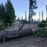 Review photo of Dome Rock Dispersed Camping by Vidalia S., March 21, 2026