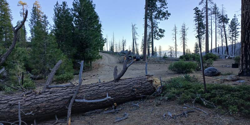 Camper submitted image from Dome Rock Dispersed Camping