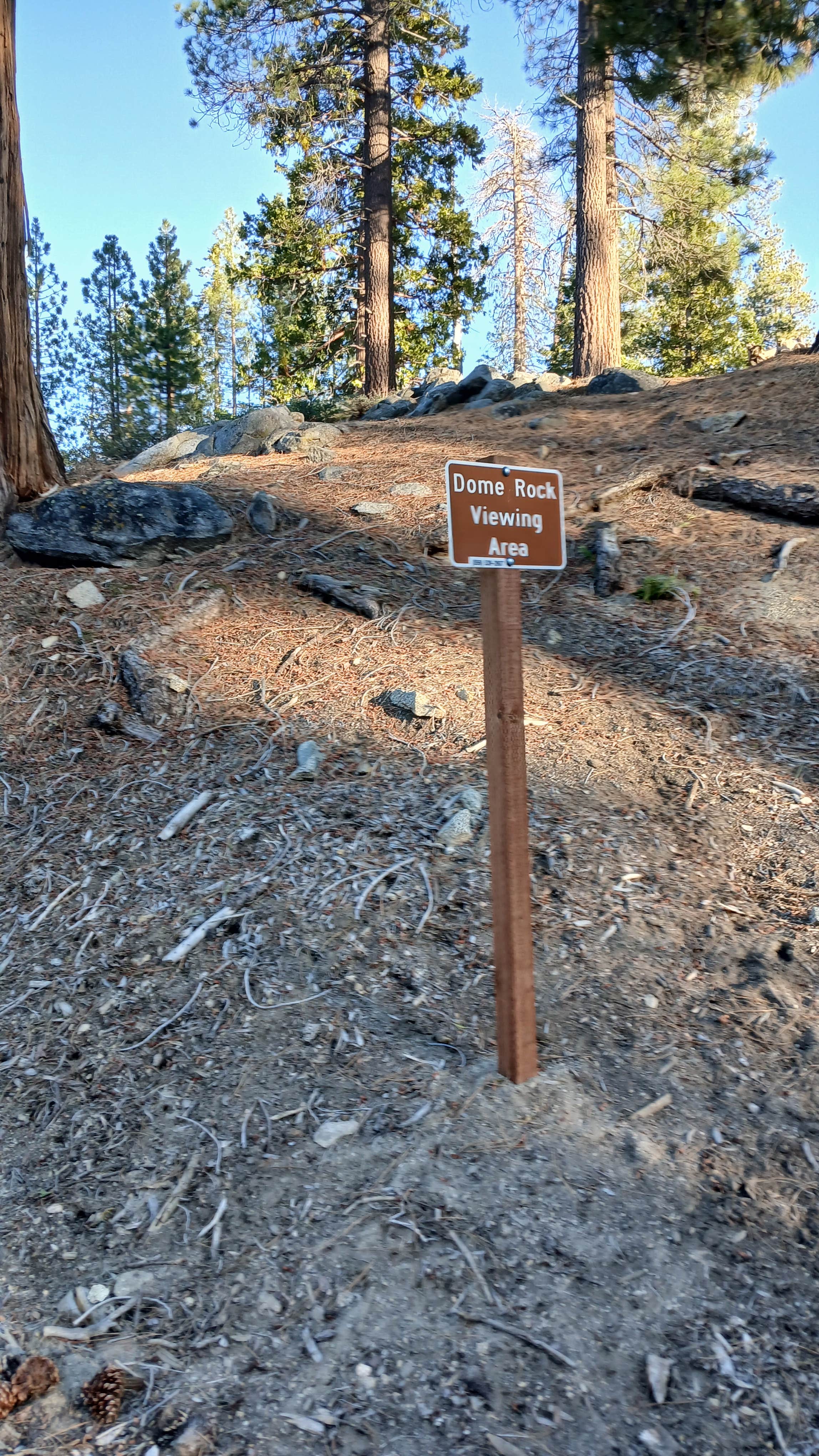 Camper-submitted photo at Dome Rock Dispersed Camping near Springville, CA