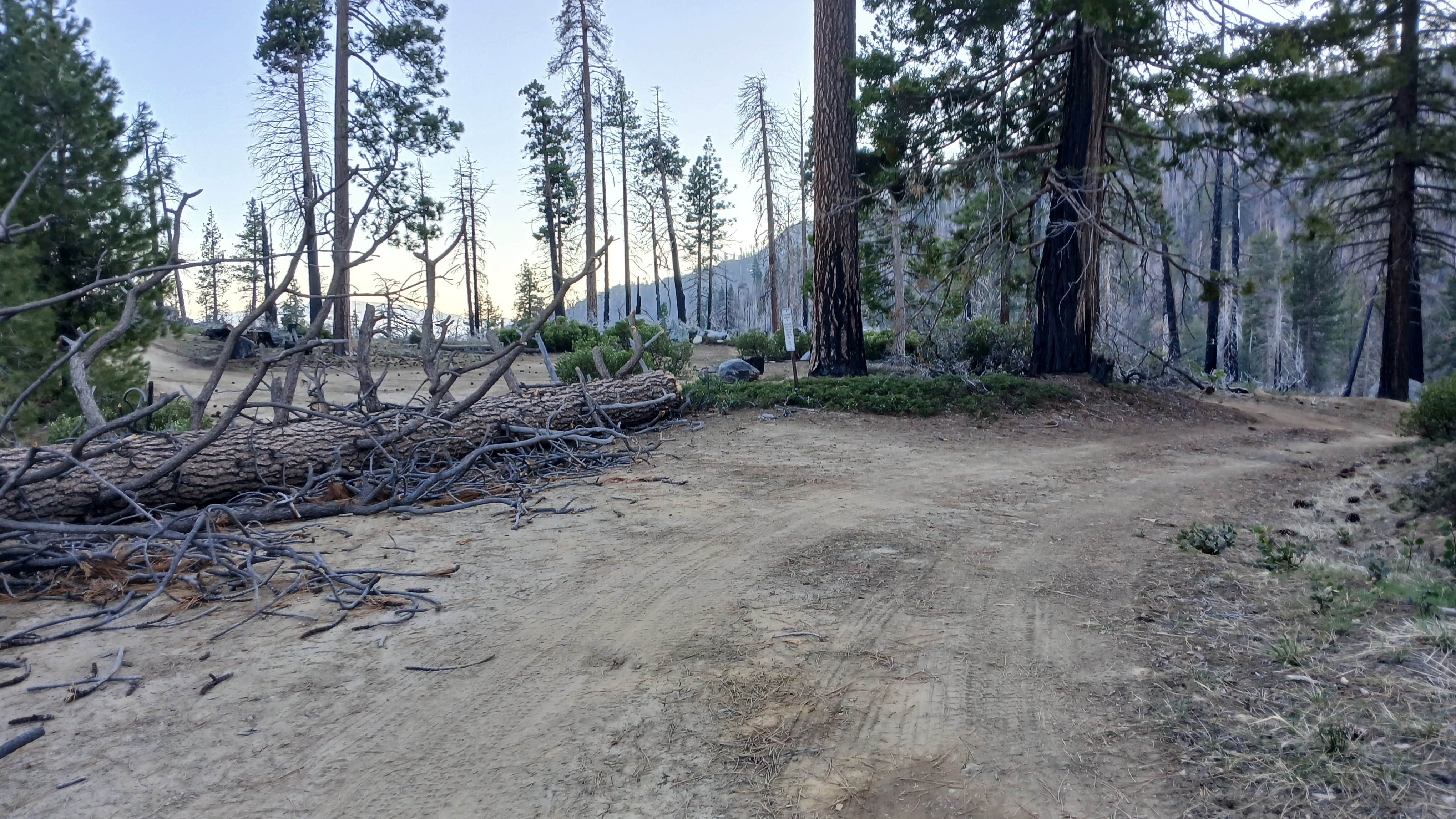 Camper-submitted photo at Dome Rock Dispersed Camping near Springville, CA