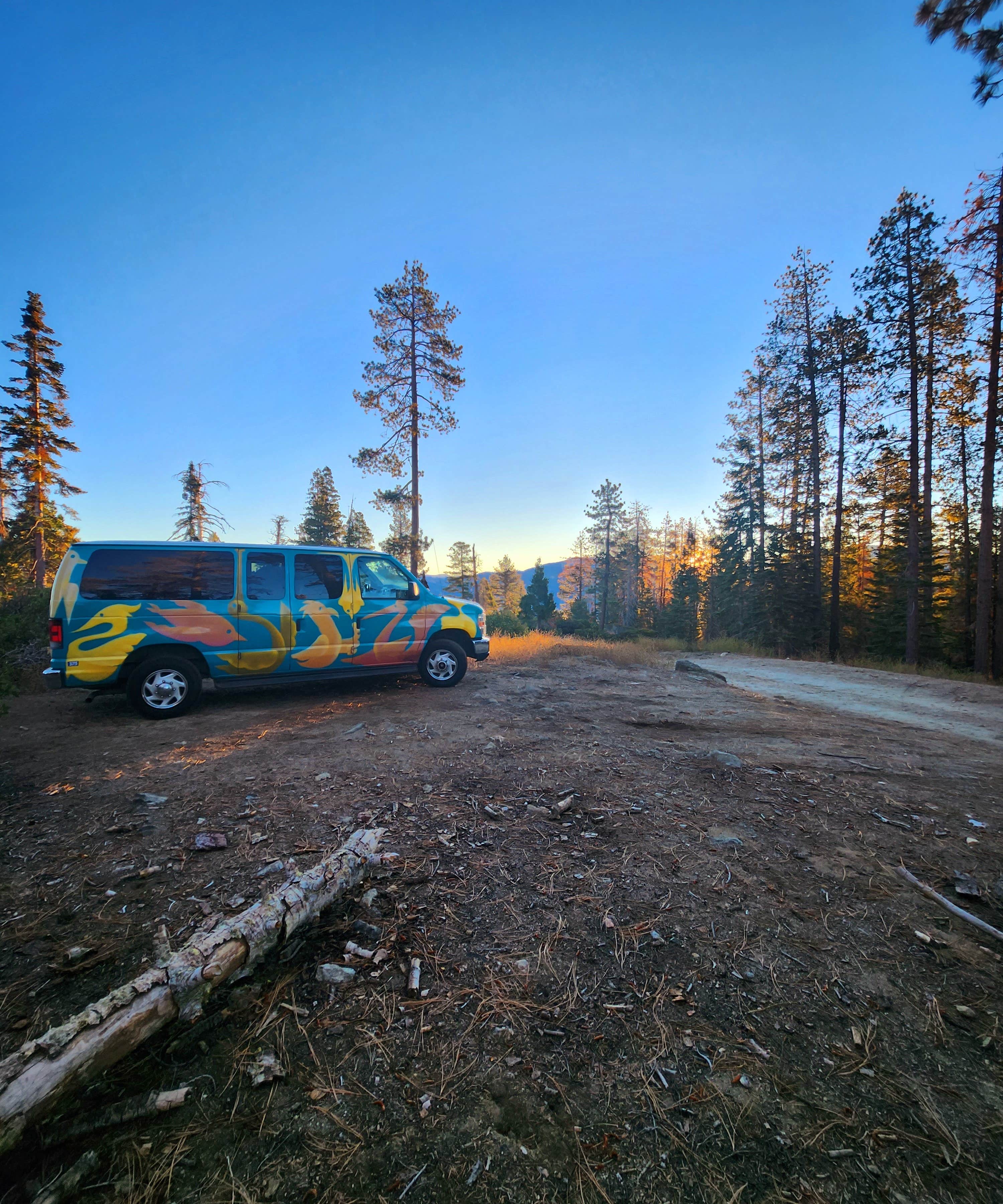 Camper-submitted photo at Dome Rock Dispersed Camping near Sequoia National Forest