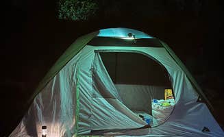 Arlene D.'s photo at Donald MacDonald Campground near Sebastian, FL