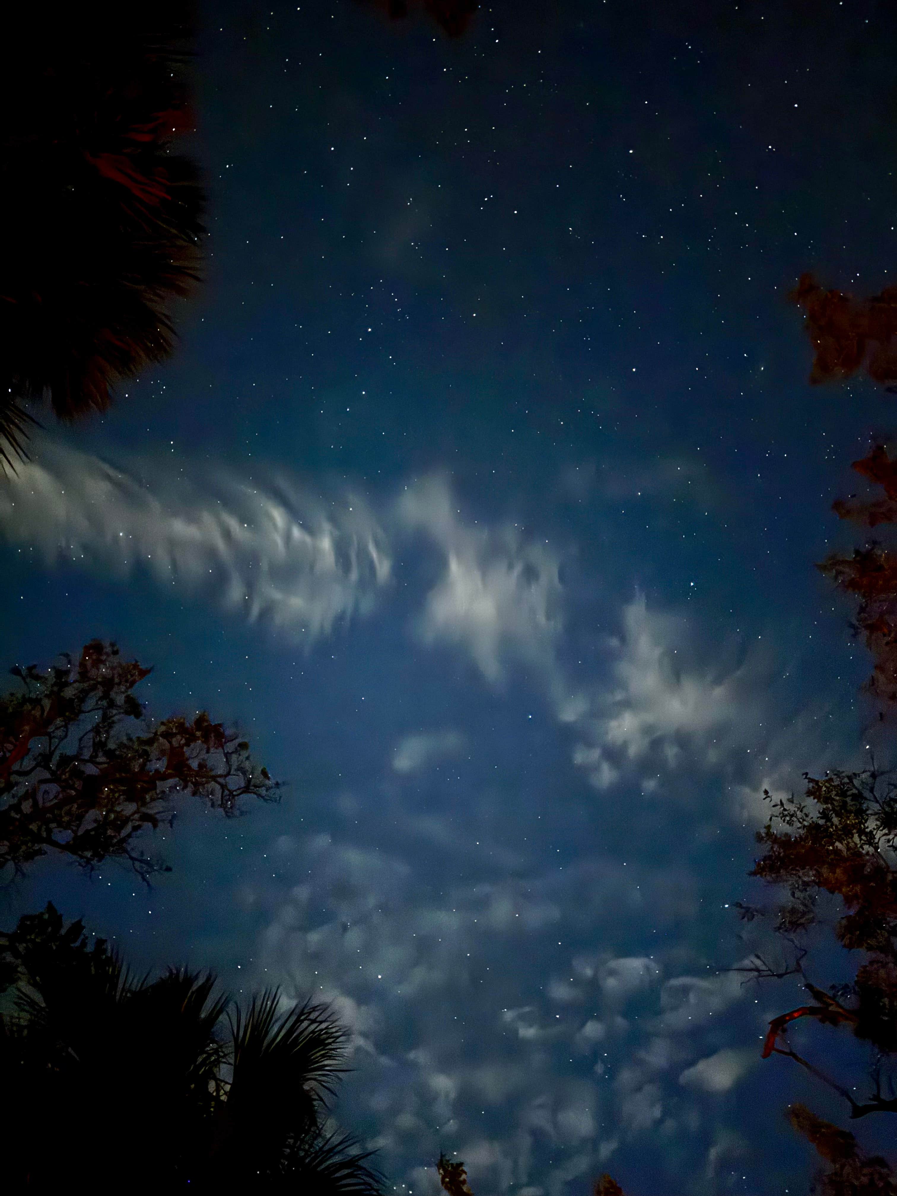 Camper-submitted photo at Donald MacDonald Campground near Palm Bay, FL