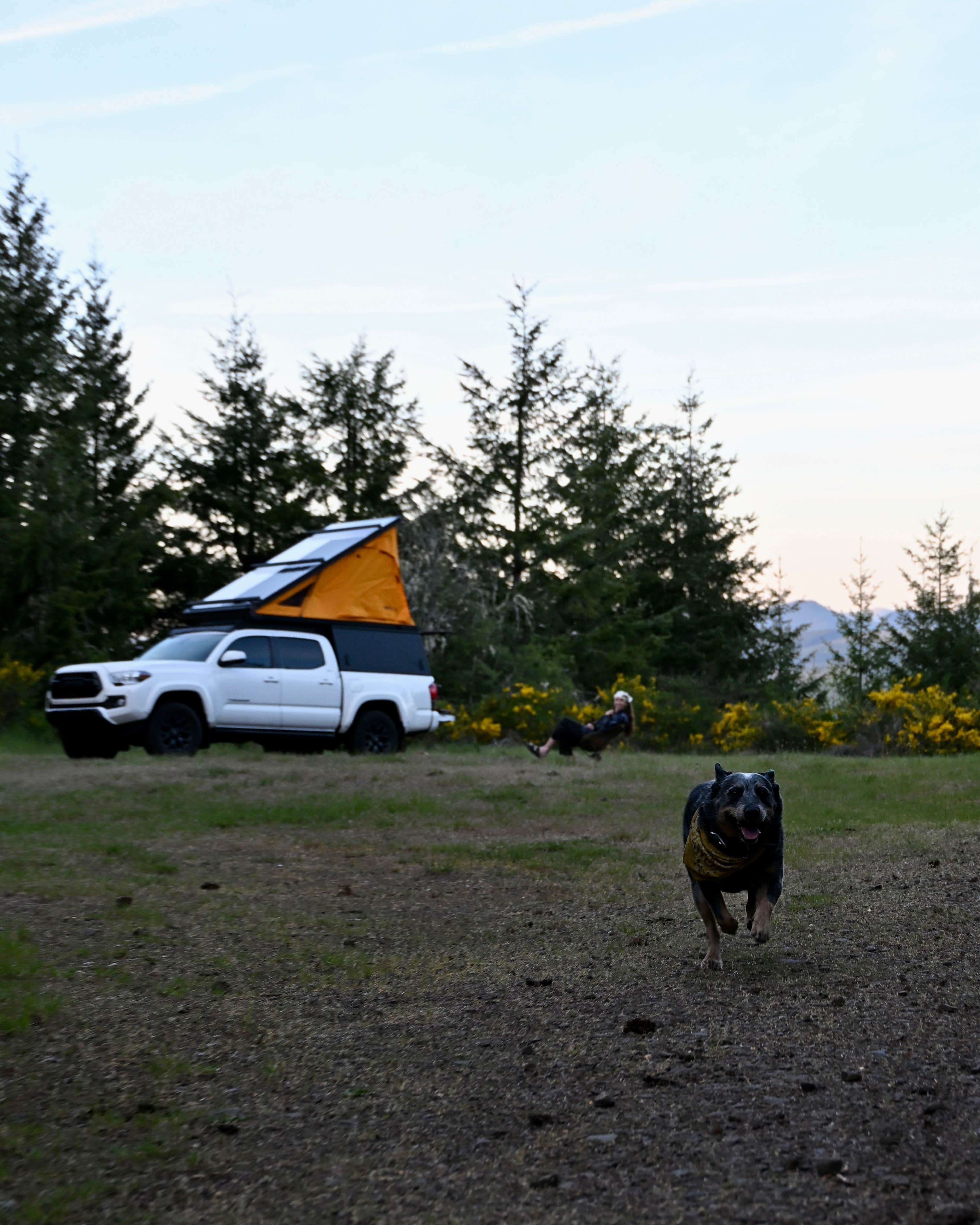 Chandler M.'s photo of a dispersed camping area at Doolittle Butte near Lorane, OR