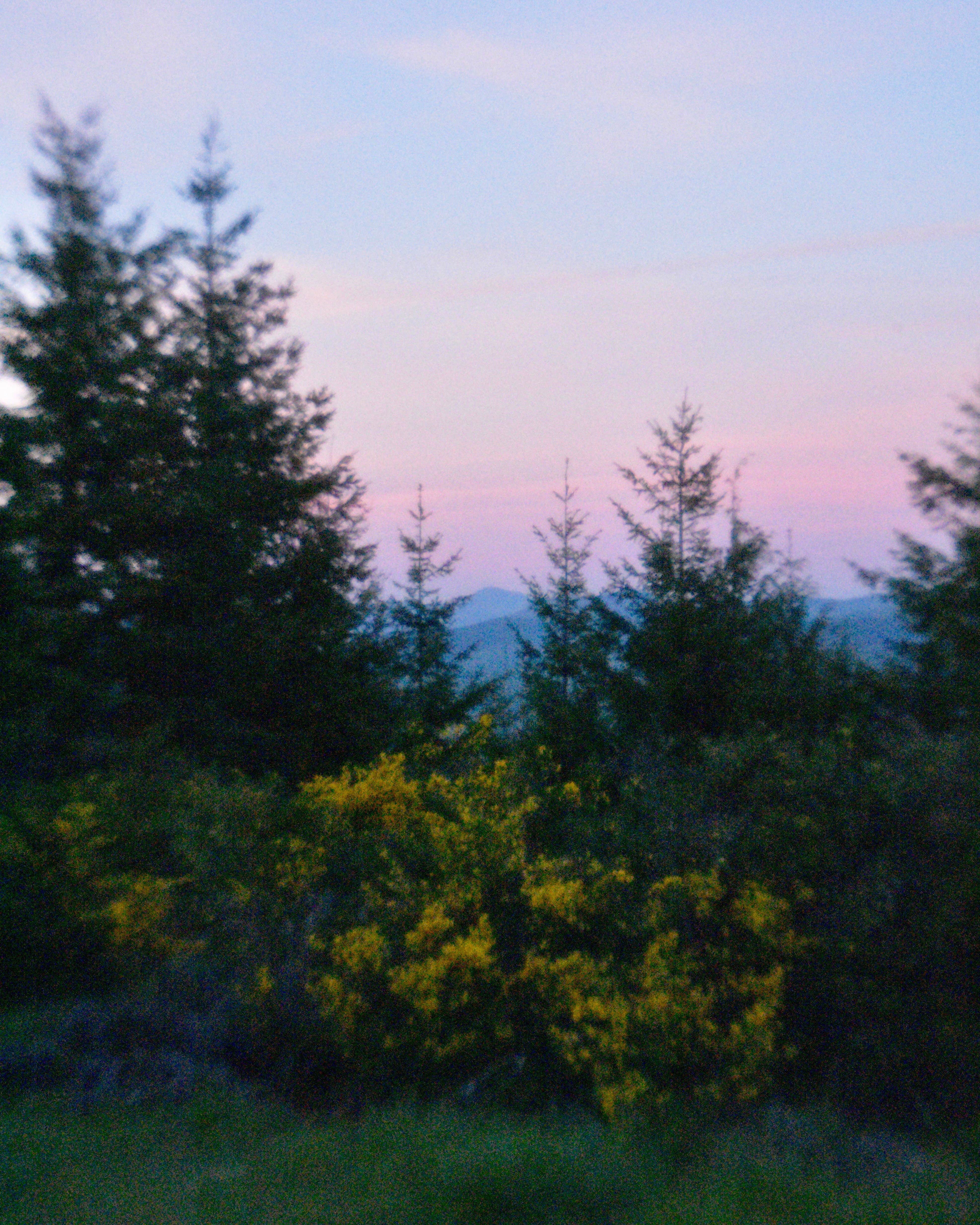Camper-submitted photo at Doolittle Butte near Lorane, OR