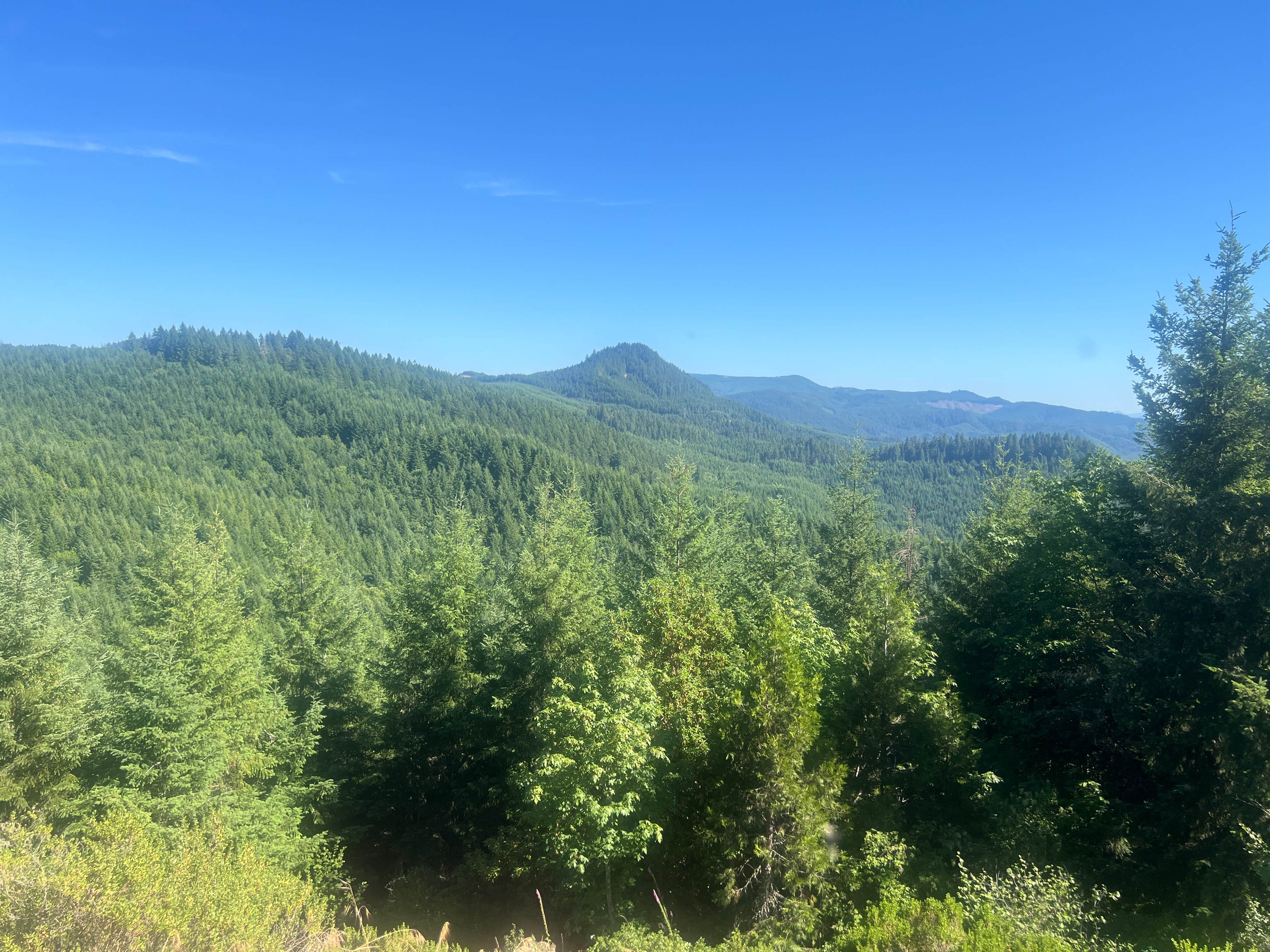 Camper-submitted photo at Doolittle Butte near Sutherlin, OR