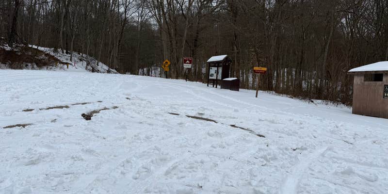 Camper submitted image from Dorr Run-Elm Trailhead