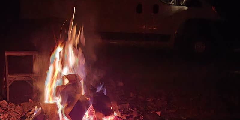 Camper submitted image from Dorr-Run Red Oak Trailhead