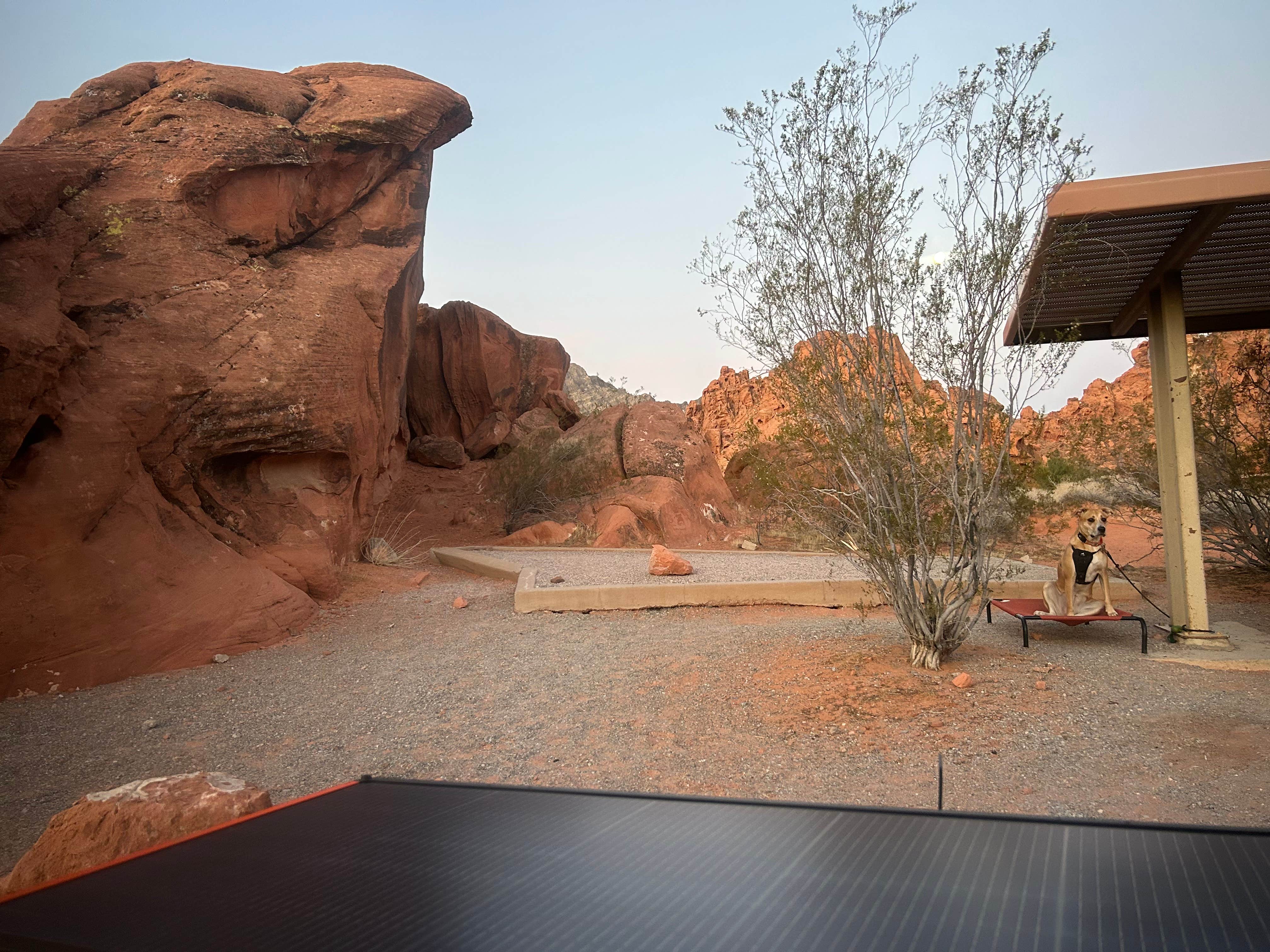 Louis A.'s photo of camping with pets at Dorst Creek Campground — Sequoia National Park - TEMPORARILY CLOSED near Hume, CA
