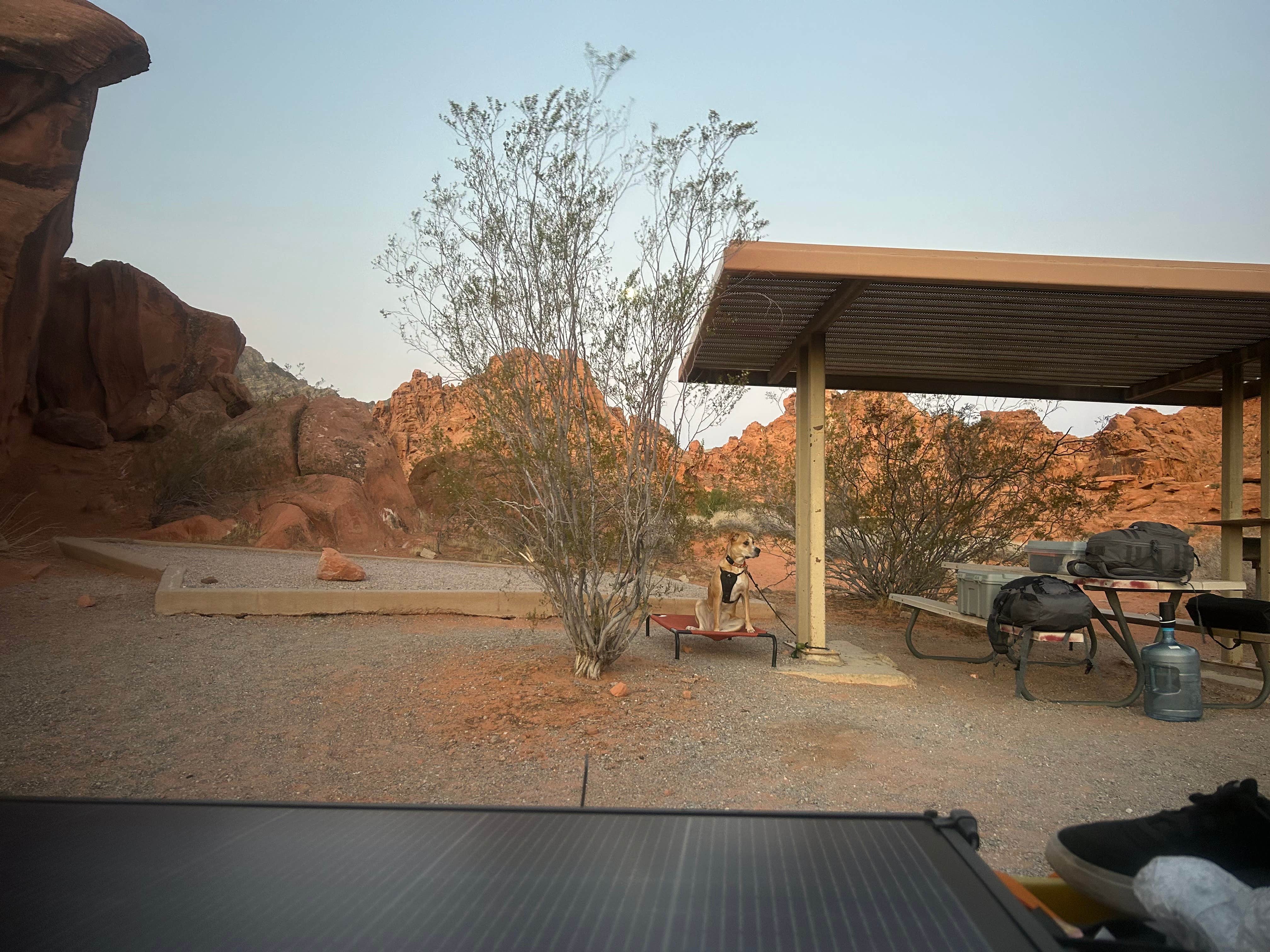 Louis A.'s photo of camping with pets at Dorst Creek Campground — Sequoia National Park - TEMPORARILY CLOSED near Three Rivers, CA