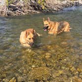 Review photo of Dos Rios RV Park by Russell P., November 23, 2025