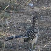 Review photo of Dos Rios RV Park by Russell P., November 23, 2025