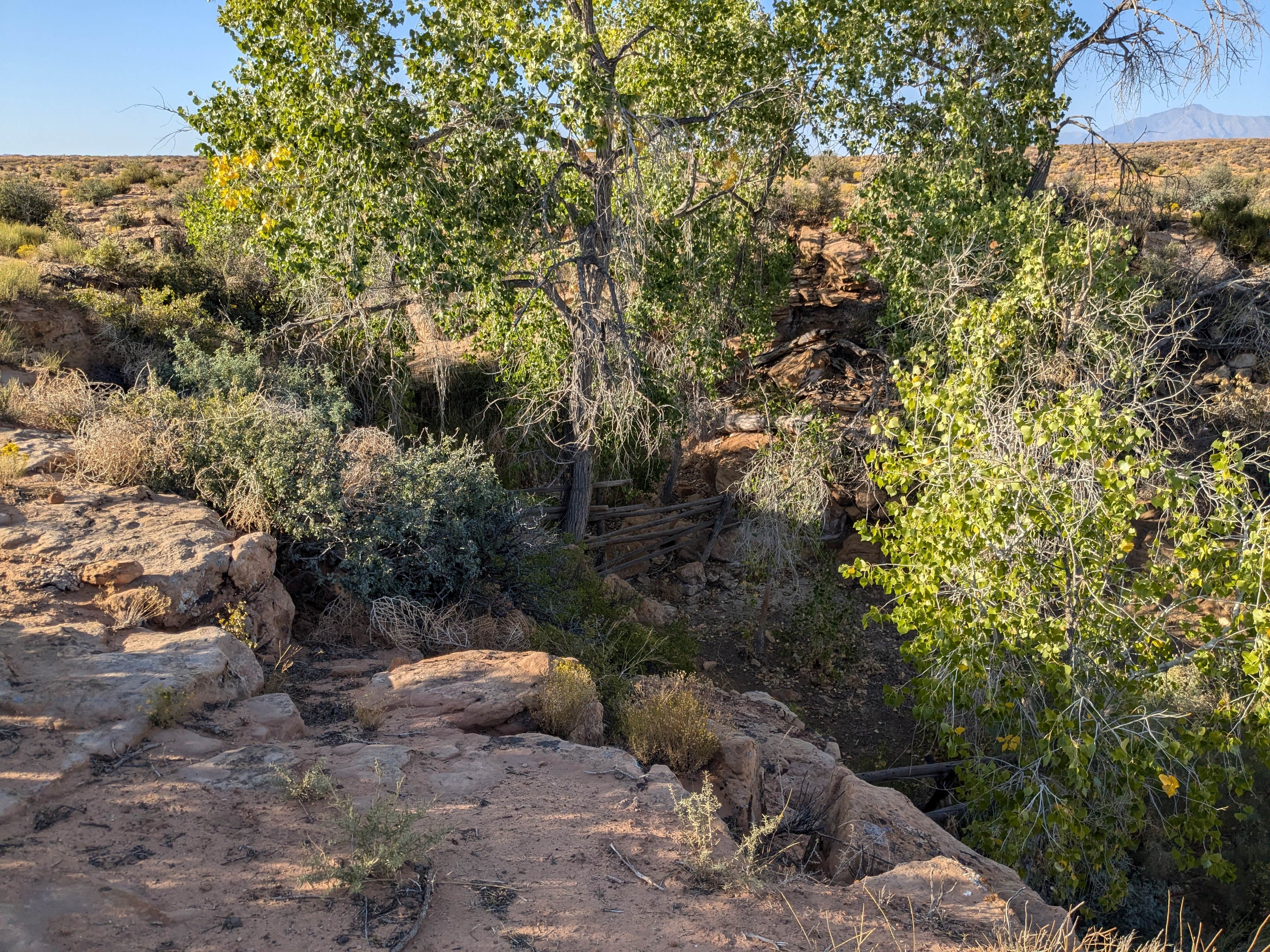 Camper-submitted photo at Dove Spring near Glen Canyon National Recreation Area