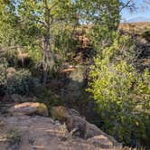 Review photo of Dove Spring by DL M., September 13, 2024