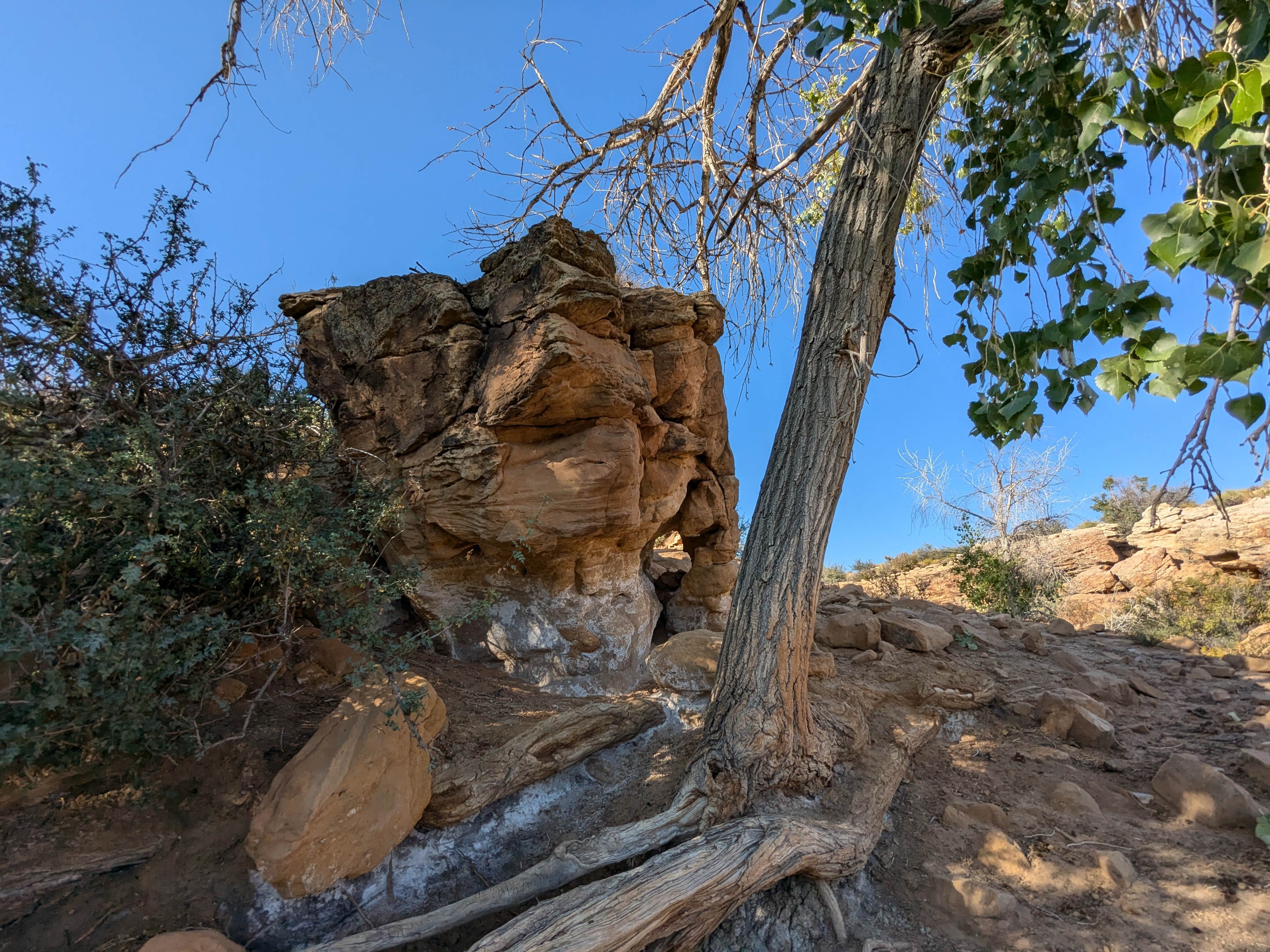 Camper-submitted photo at Dove Spring near Glen Canyon National Recreation Area