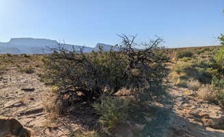 DL M.'s photo of camping with pets at Dove Spring near Glen Canyon National Recreation Area