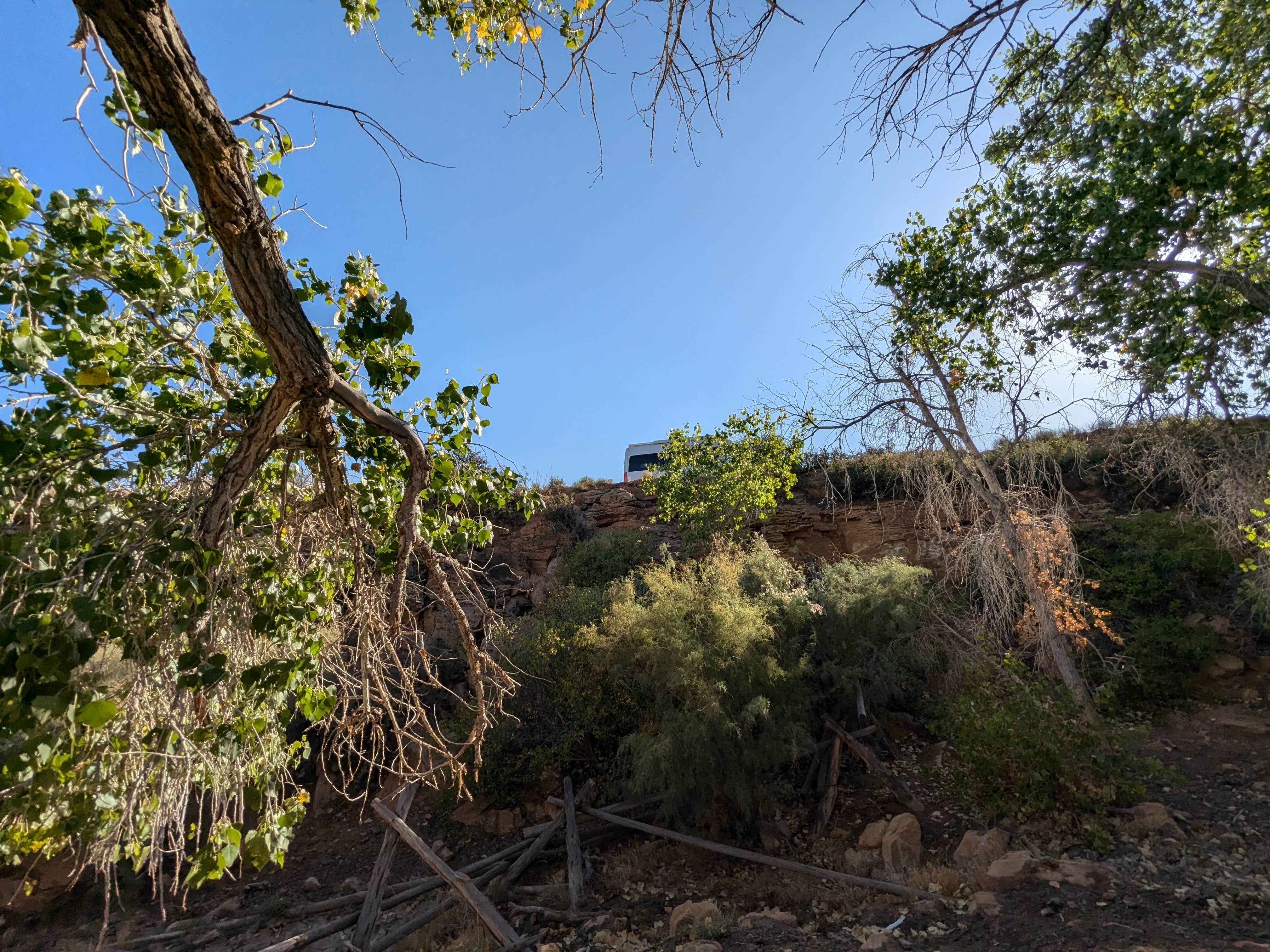 Camping near Halls Creek Outlook: Dove Spring, Eggnog, Utah