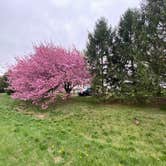 Review photo of Dover AFB Famcamp by Emily G., April 19, 2025