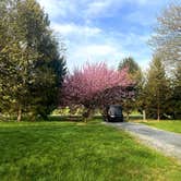 Review photo of Dover AFB Famcamp by Emily G., April 19, 2025