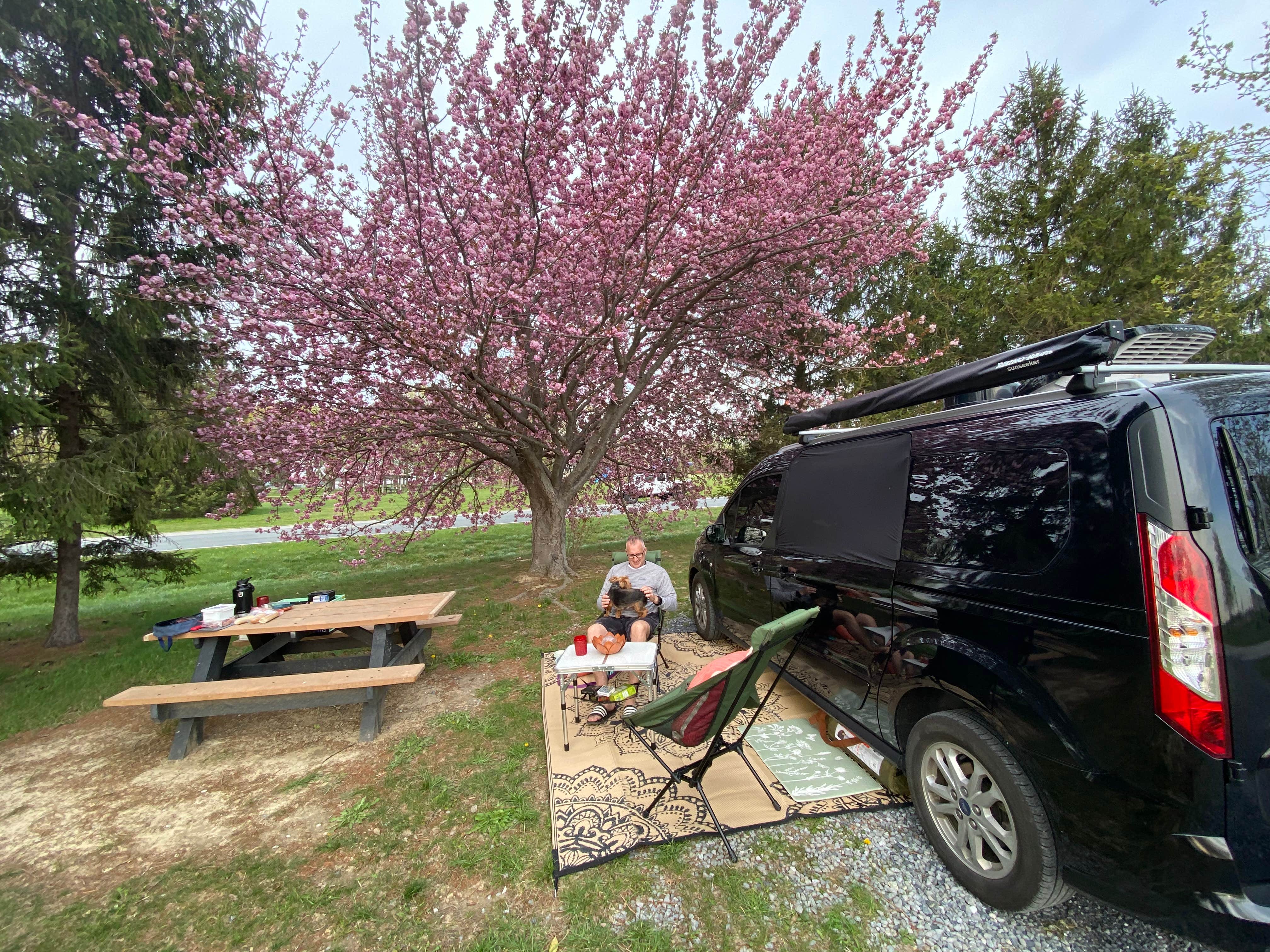 Camper submitted image from Dover AFB Famcamp - 5