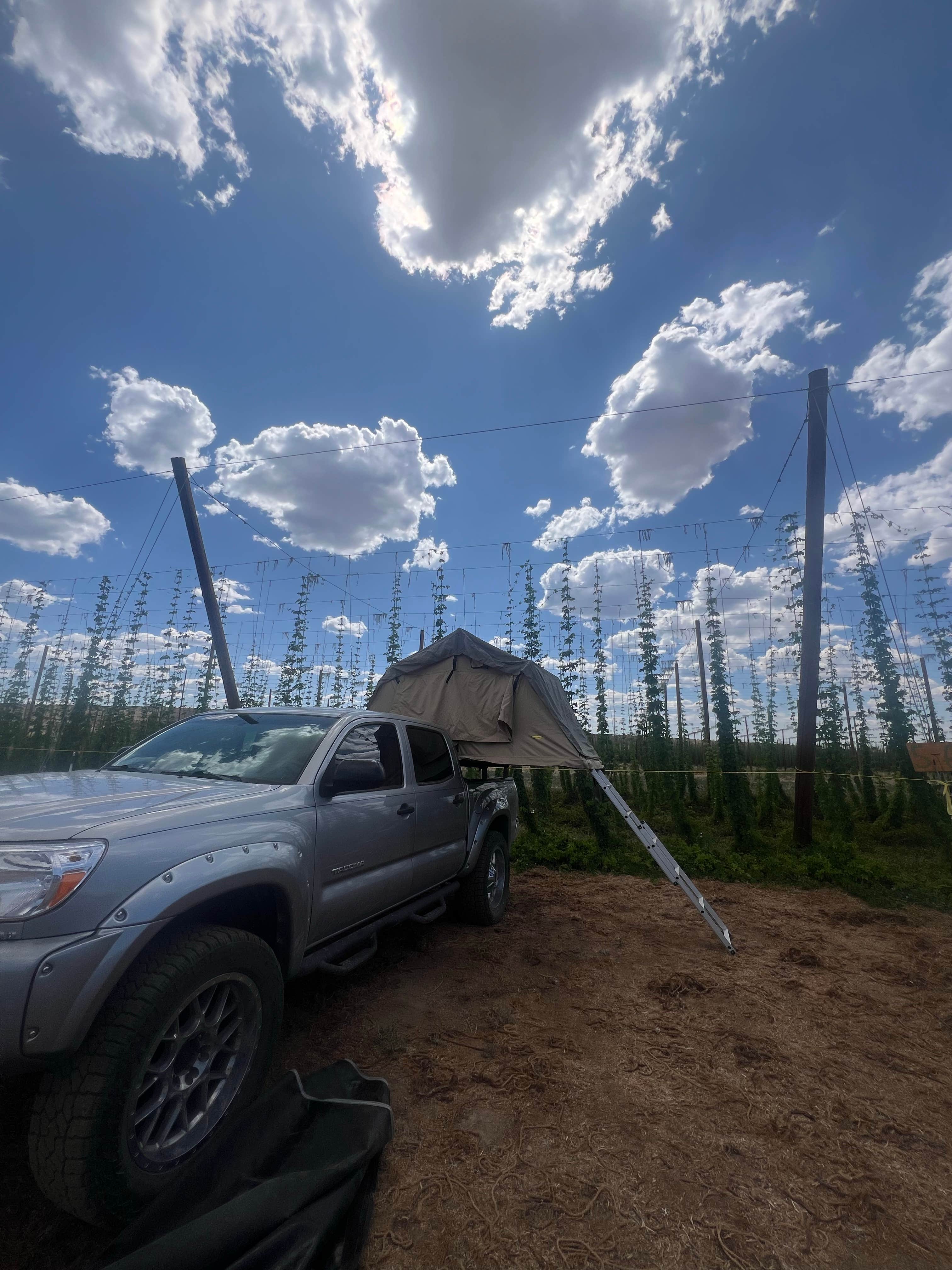 Camping near Meadows of San Juan: Down at the Hop Yard Camping, Montrose, Colorado