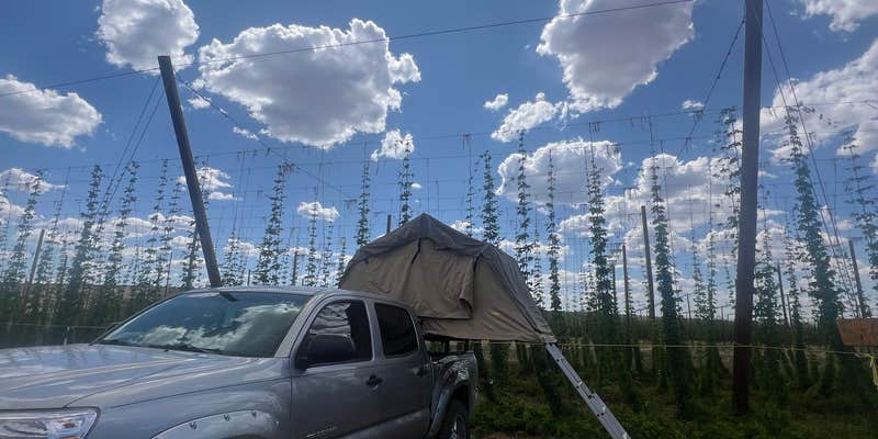 Camper submitted image from Down at the Hop Yard Camping