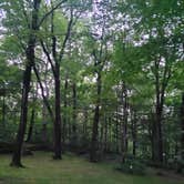 Review photo of Dr. Edmond Babler State Park by Shawn S., May 3, 2026