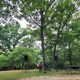 Review photo of Dr. Edmond Babler State Park by Shawn S., May 3, 2026