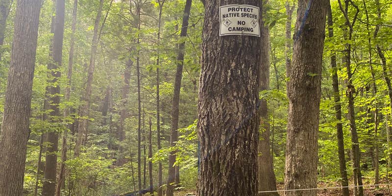 Camper submitted image from Dragon's Tooth