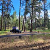 Review photo of Dragoon Creek Campground by Martijn D., June 13, 2024