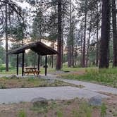 Review photo of Dragoon Creek Campground by Anthony R., August 9, 2024