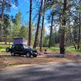 Review photo of Dragoon Creek Campground by Martijn D., June 13, 2024