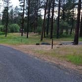 Review photo of Dragoon Creek Campground by Anthony R., August 9, 2024