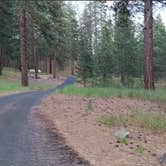 Review photo of Dragoon Creek Campground by Anthony R., August 9, 2024