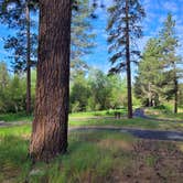 Review photo of Dragoon Creek Campground by Martijn D., June 13, 2024