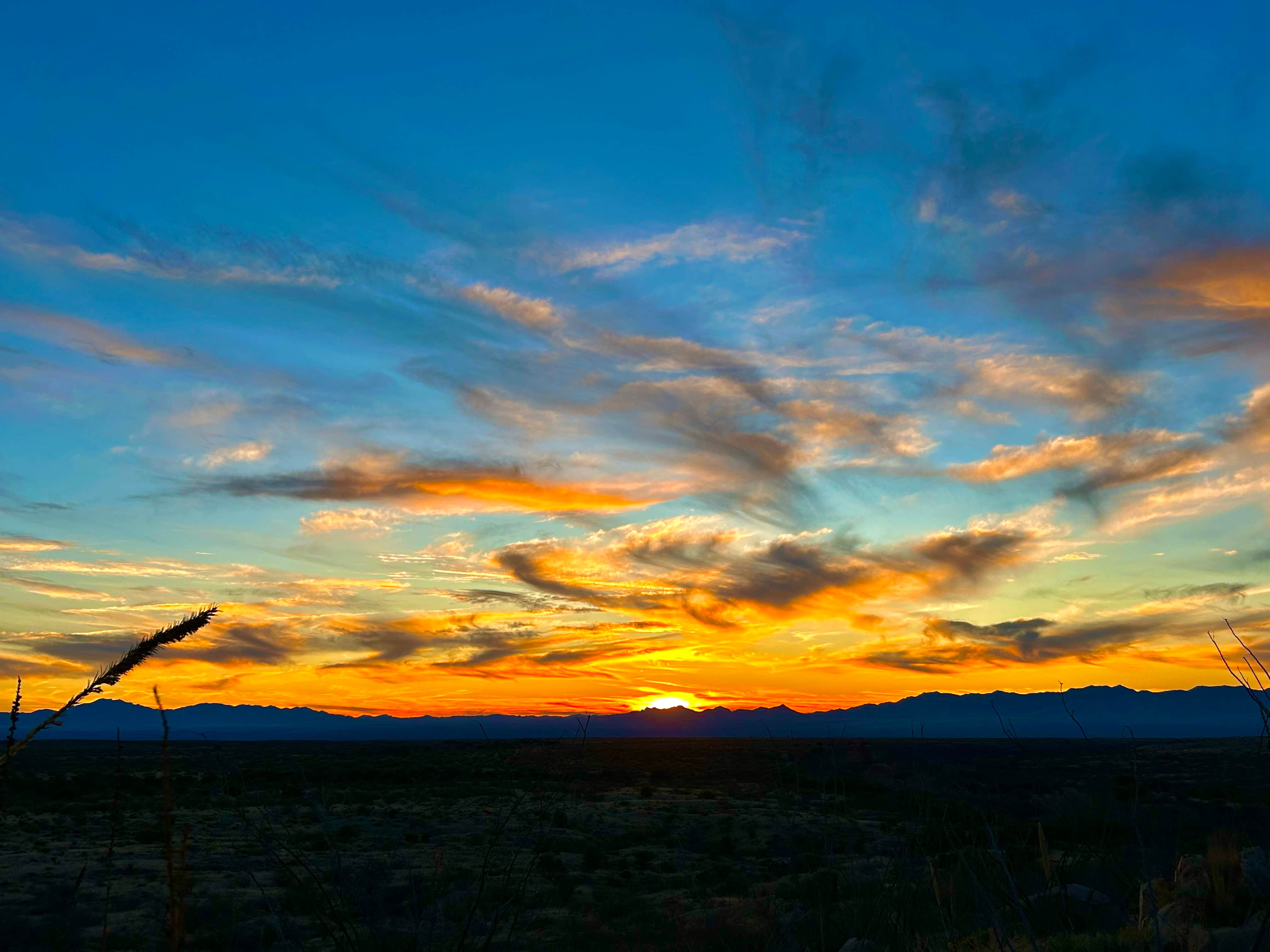 holly C.'s photo of a dispersed camping area at Dragoon Mountains near Dragoon, AZ
