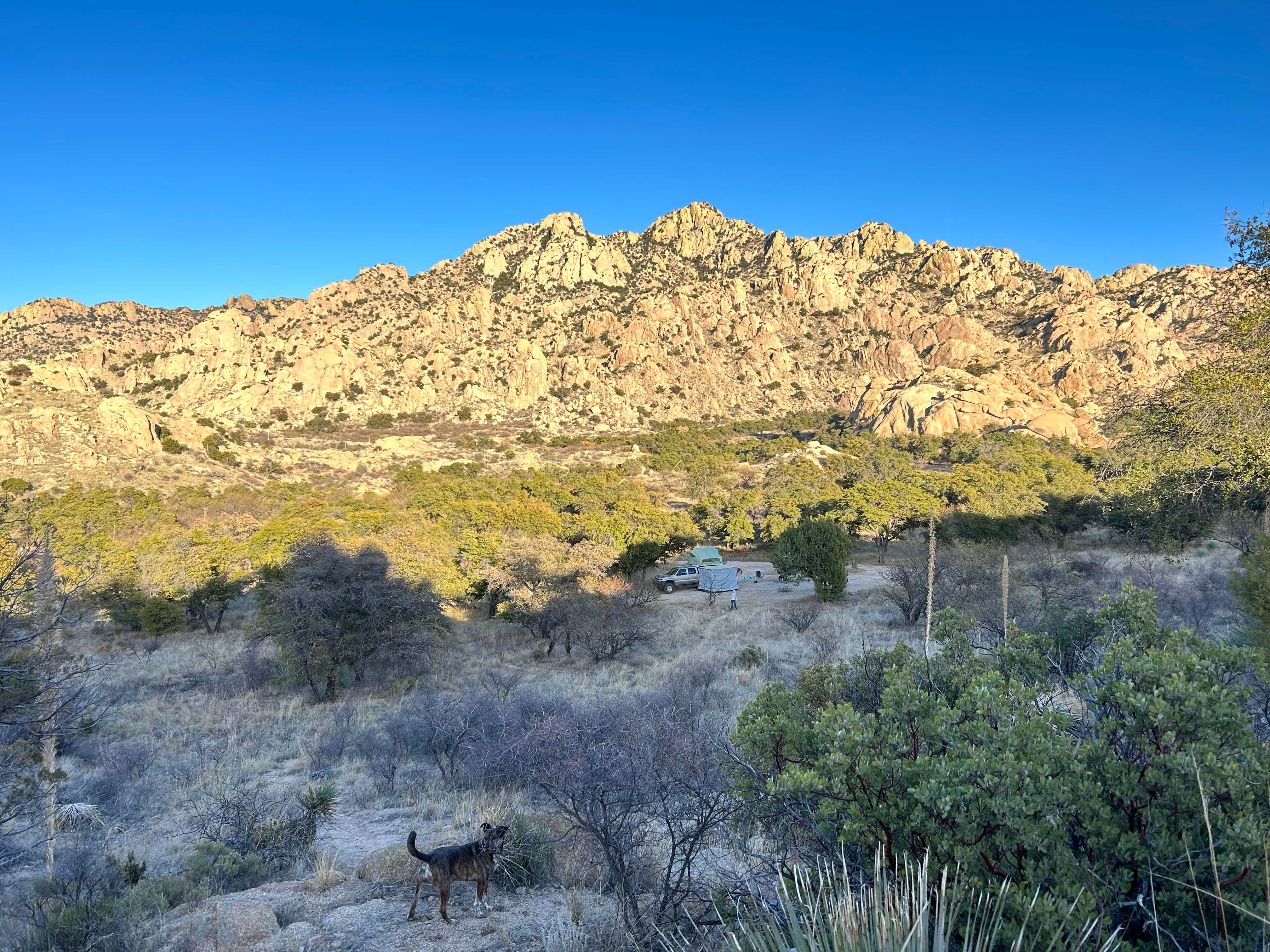 holly C.'s photo of camping with pets at Dragoon Mountains near Dragoon, AZ