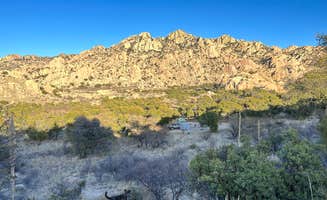 holly C.'s photo of camping with pets at Dragoon Mountains near Dragoon, AZ