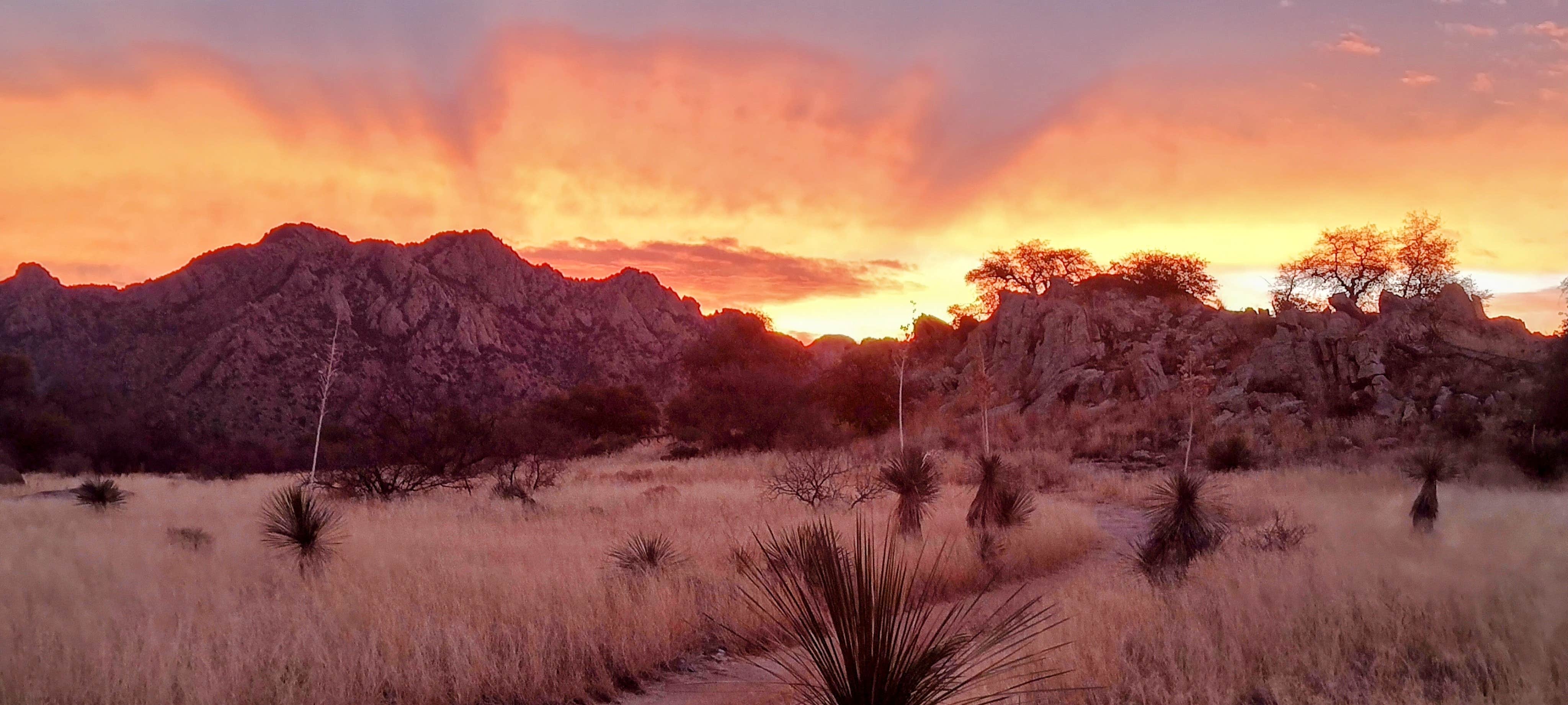 Dave B.'s photo of a dispersed camping area at Dragoon Mountains near Tombstone, AZ